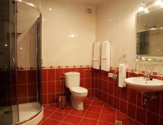 Ванная комната с душевой кабиной и красной плиткой.