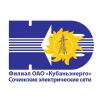 Логотип организации "Сочинские электросети"